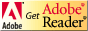 Download the latest [Adobe Reader]